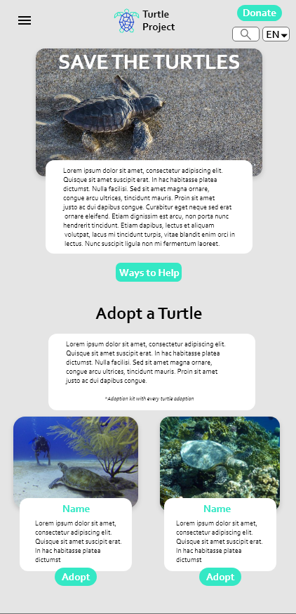 Turtle Project UX project